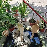 Il Giardinetto Selargius