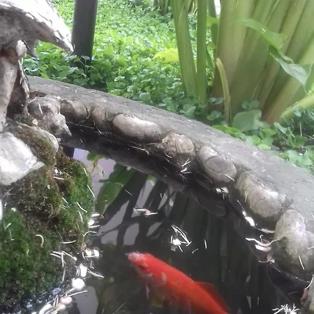 Bed & Breakfast Il Giardinetto Selargius