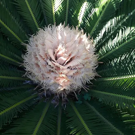 Il Giardinetto Bed & Breakfast 3*