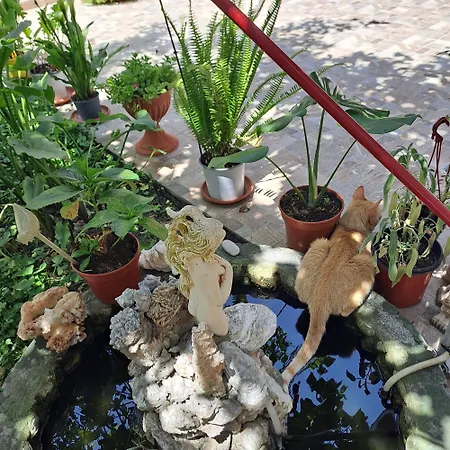 Il Giardinetto Selargius