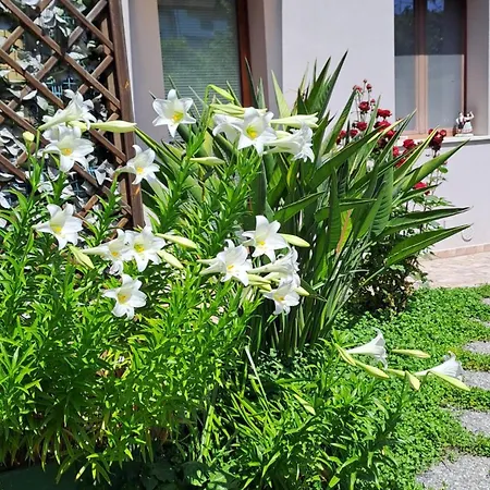 Il Giardinetto